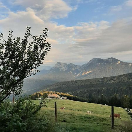 Stoecklhof Villa Siegsdorf Dış mekan fotoğraf